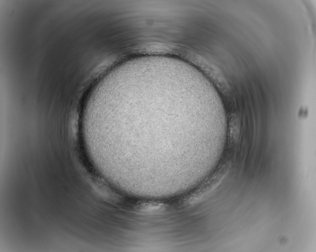 X0000101950206200808151300