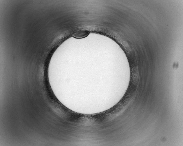 X0000101950207200808151300