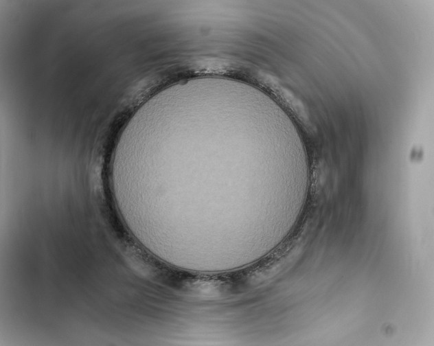 X0000101950209200808151300