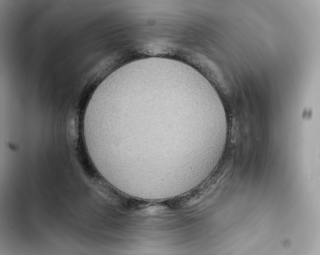 X0000101950210200808151300