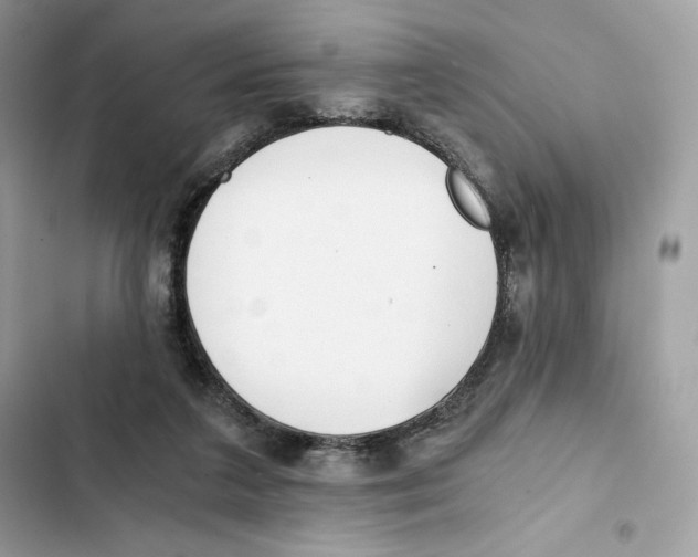 X0000101950211200808151300