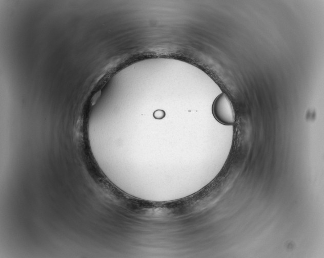 X0000101950212200808151300