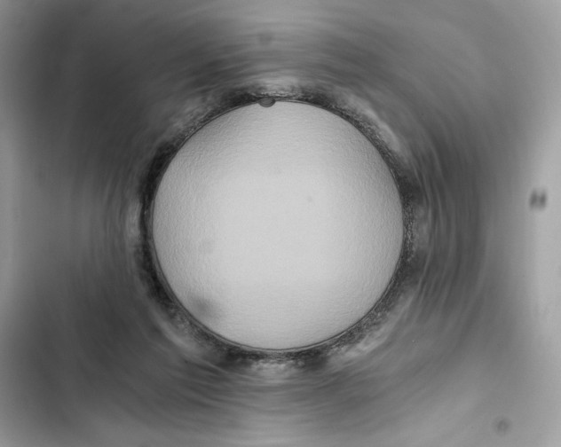 X0000101950213200808151300