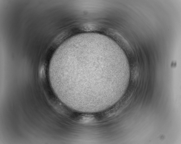 X0000101950214200808151300