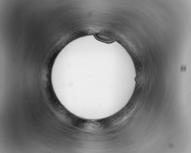 X0000101950215200808151300