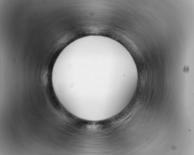 X0000101950216200808151300