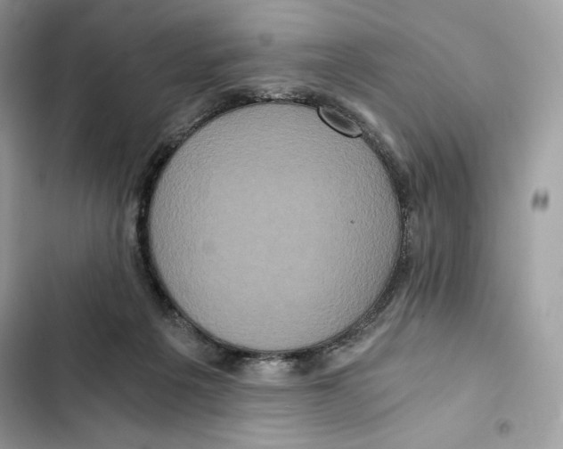 X0000101950217200808151300