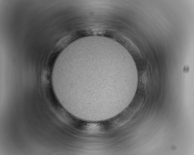 X0000101950218200808151300