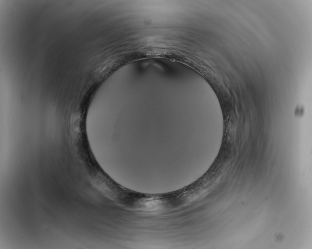 X0000101950219200808151300
