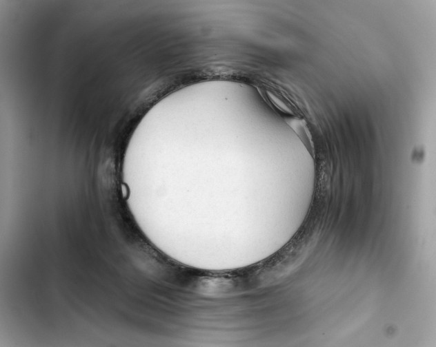 X0000101950220200808151300