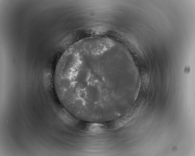 X0000101950222200808151300