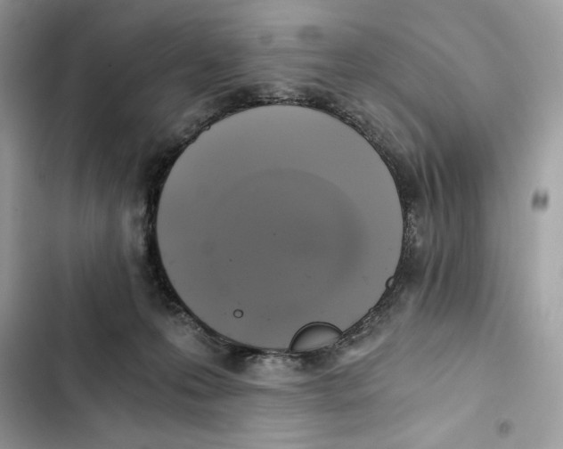 X0000101950223200808151300