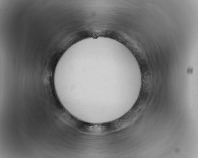 X0000101950225200808151300