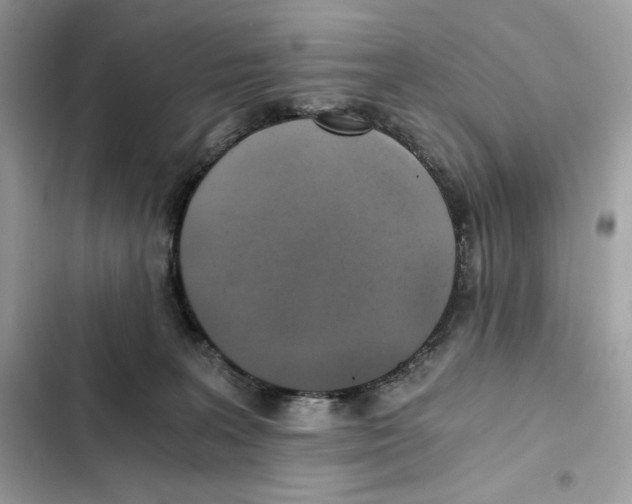 X0000101950227200808151300