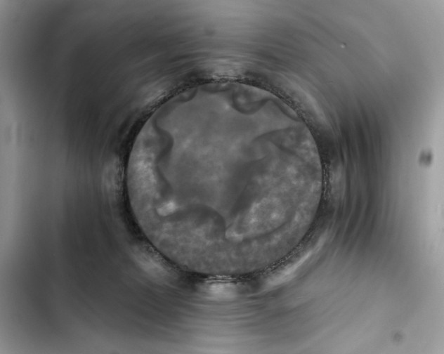 X0000101950228200808151300