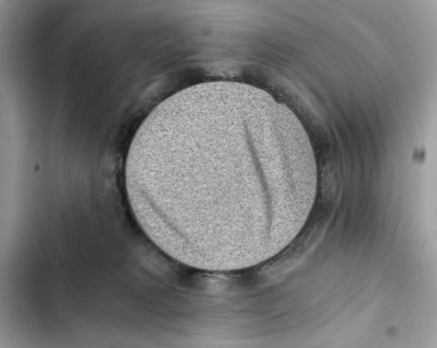 X0000101950229200808151300