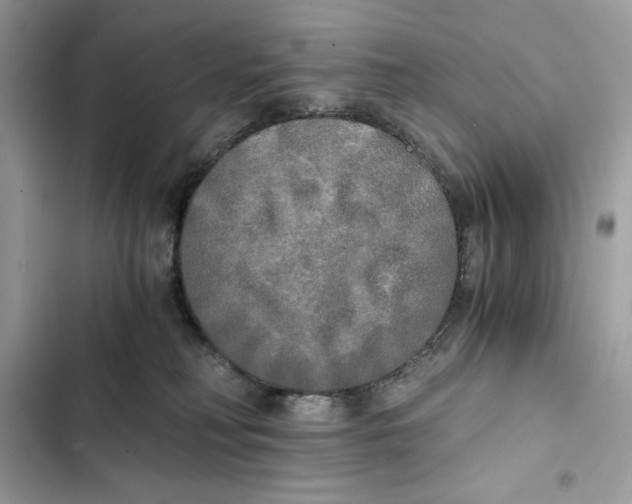 X0000101950230200808151300