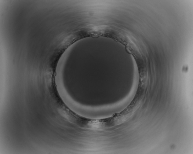 X0000101950231200808151300