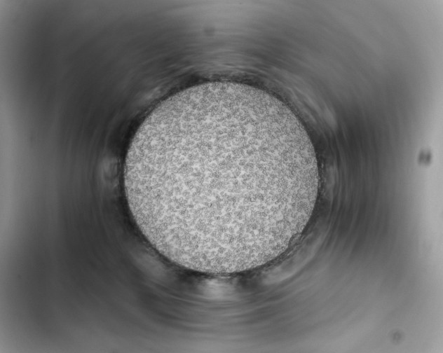 X0000101950232200808151300