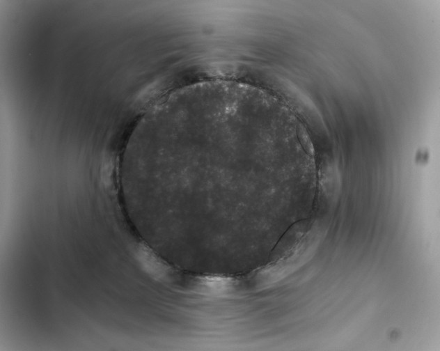 X0000101950233200808151300