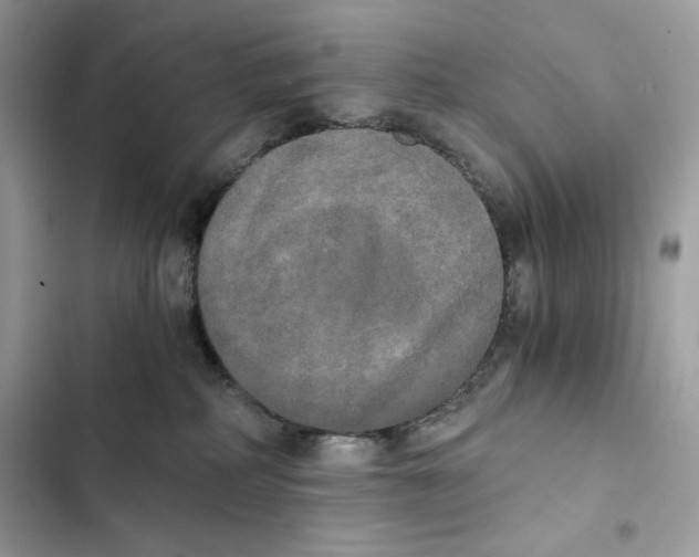 X0000101950234200808151300
