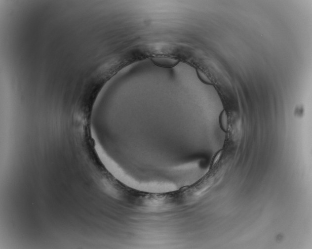 X0000101950235200808151300