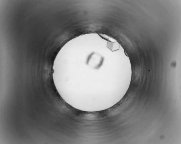 X0000101950236200808151300