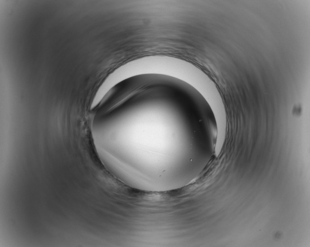 X0000101950237200808151300