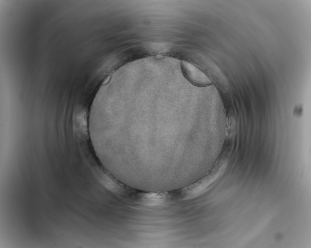 X0000101950238200808151300