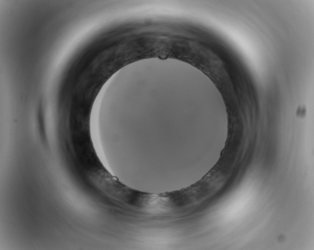 X0000101950239200808151300