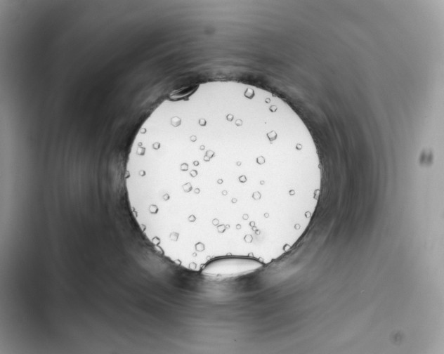 X0000101950240200808151300
