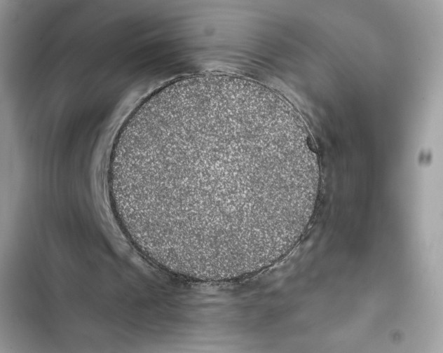 X0000101950241200808151259