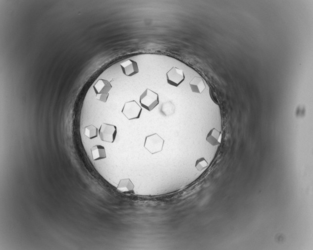 X0000101950242200808151259