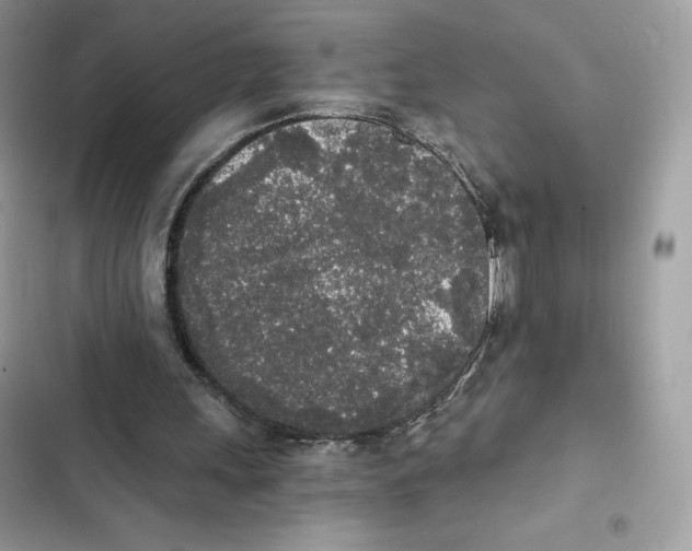 X0000101950243200808151259