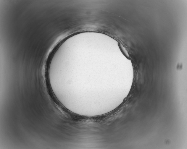 X0000101950244200808151259