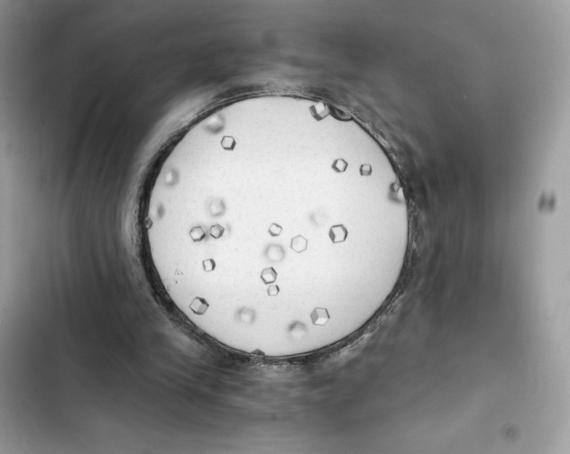 X0000101950245200808151259