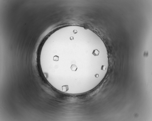 X0000101950246200808151259
