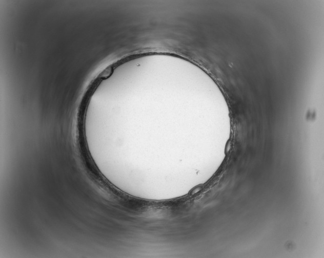 X0000101950248200808151259