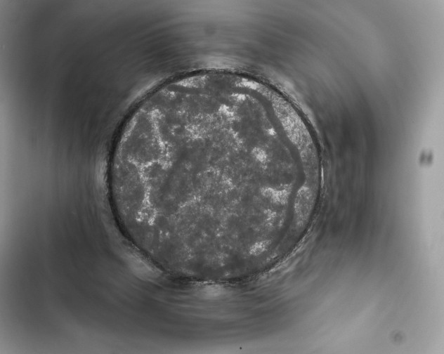 X0000101950249200808151259
