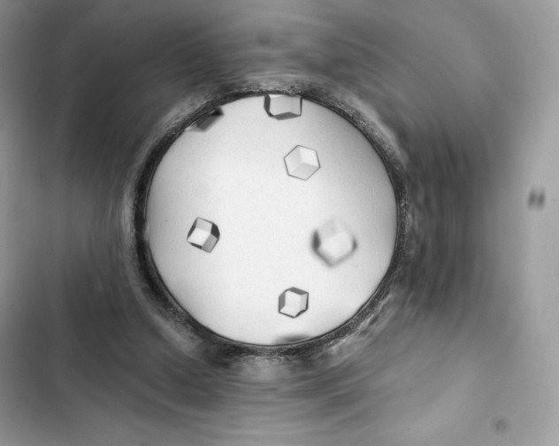X0000101950250200808151259