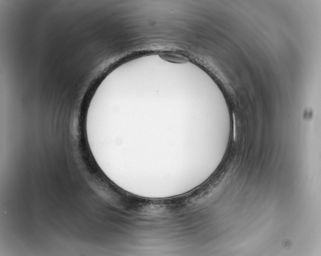X0000101950252200808151259