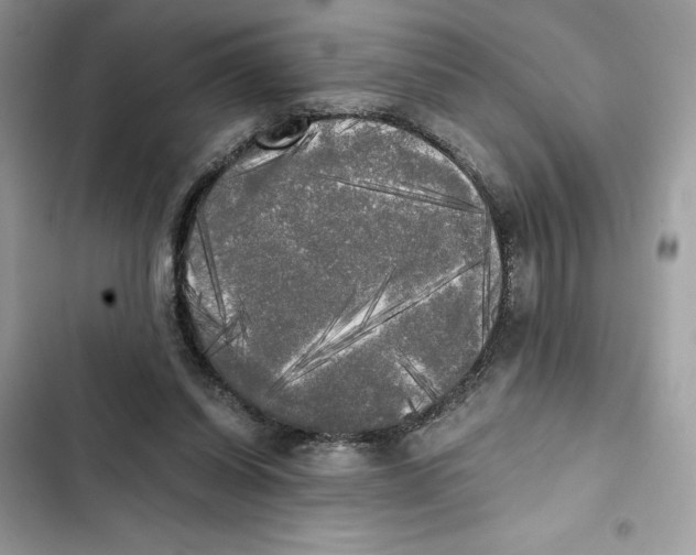 X0000101950254200808151259
