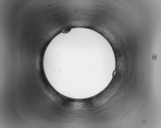 X0000101950255200808151259