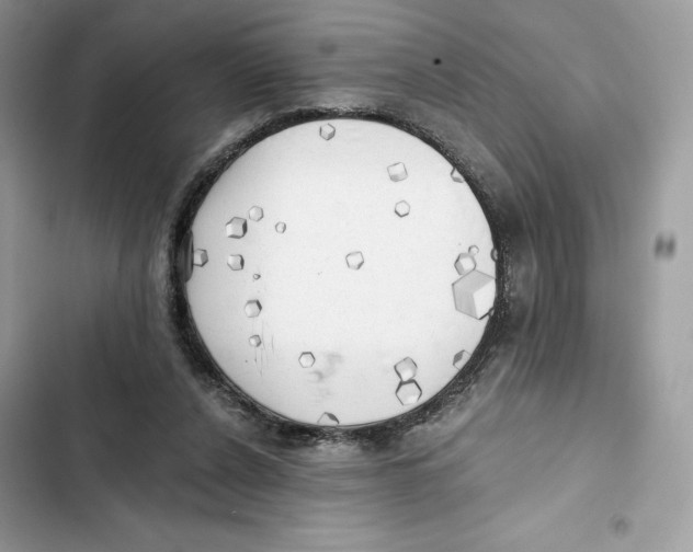X0000101950256200808151259