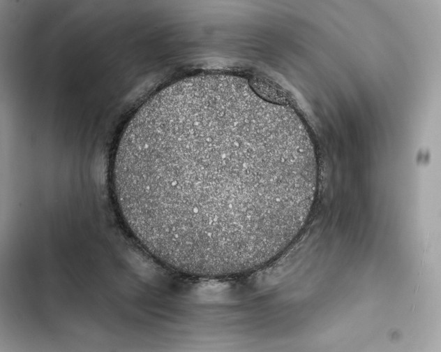 X0000101950257200808151259