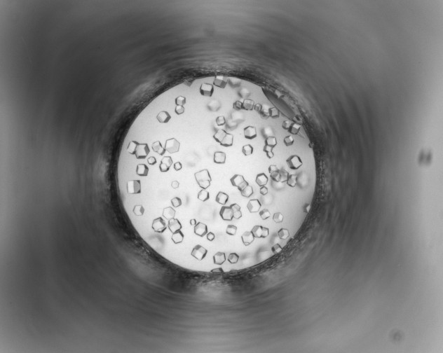 X0000101950258200808151259