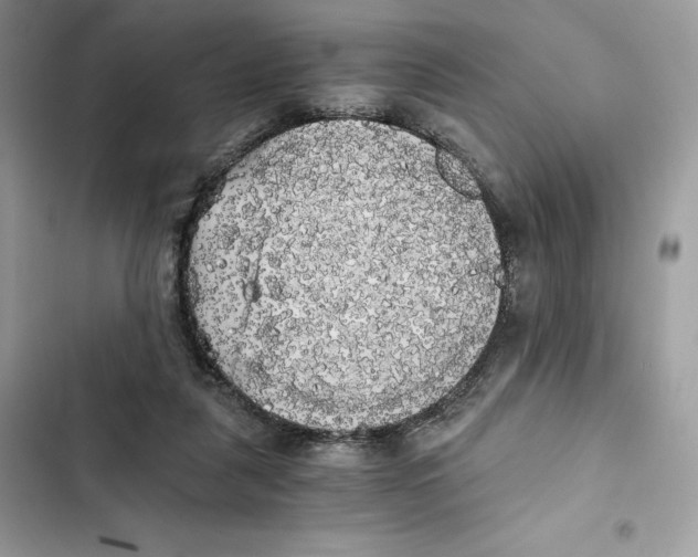 X0000101950259200808151259