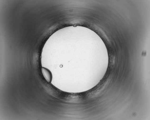X0000101950260200808151259