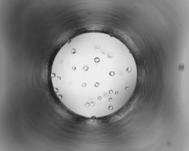 X0000101950261200808151259