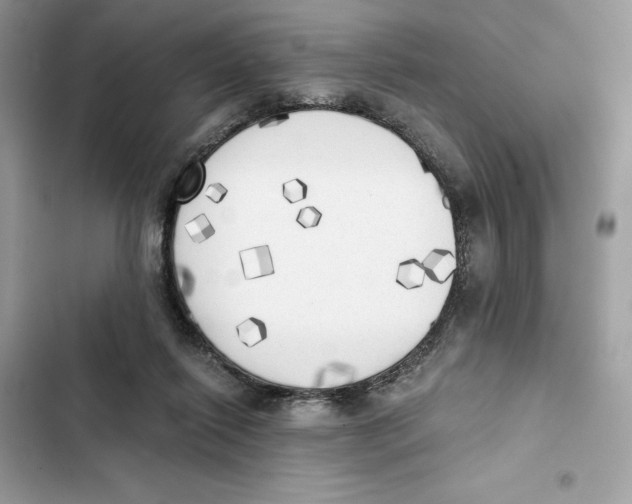 X0000101950262200808151259